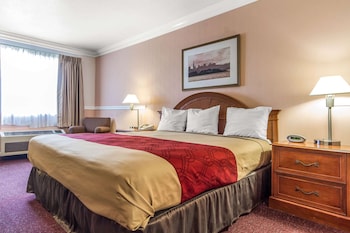 Standard Room, 1 King Bed, Non Smoking
