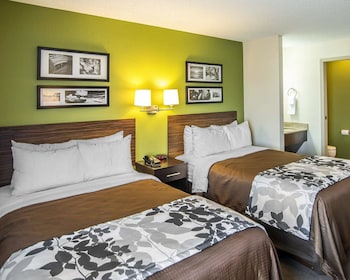 Standard Double Room, 2 Double Beds, Non Smoking