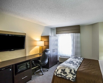 Standard Room, 1 Queen Bed, Non Smoking