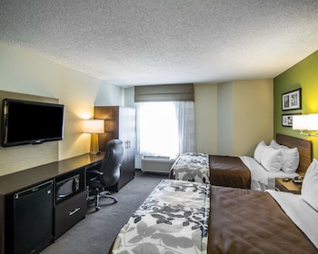 Standard Double Room, 2 Double Beds, Non Smoking