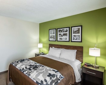 Room, 1 Queen Bed, Accessible