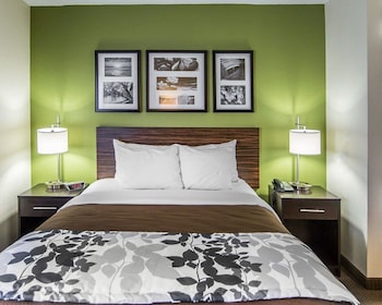 Standard Room, 1 Queen Bed, Non Smoking
