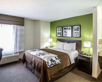 Standard Room, 1 Queen Bed, Non Smoking