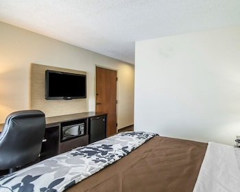 Room, 1 Queen Bed, Accessible