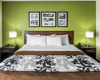 Standard Room, 1 King Bed, Non Smoking