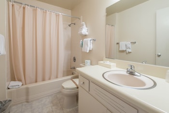 Standard Studio Suite, Accessible