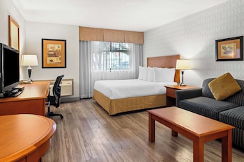 Standard Room, 1 Queen Bed, Non Smoking, Kitchenette (Pet Friendly;with Sofabed)