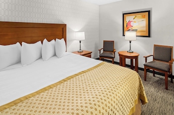Suite, 1 King Bed, Non Smoking, Kitchenette (with Sofabed)