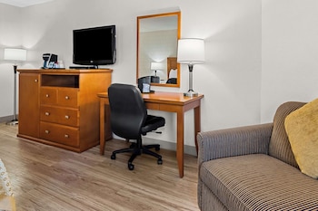 Standard Room, 1 Queen Bed, Non Smoking, Kitchenette (Pet Friendly;with Sofabed)