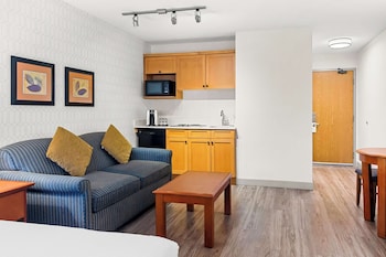 Standard Room, 1 Queen Bed, Non Smoking, Kitchenette (Pet Friendly;with Sofabed)