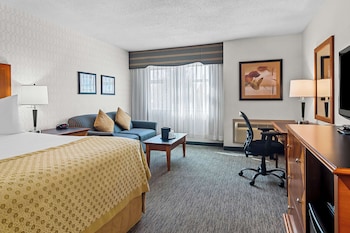 Standard Room, 1 King Bed, Non Smoking, Refrigerator & Microwave (No Pets in room type;with Sofabed)