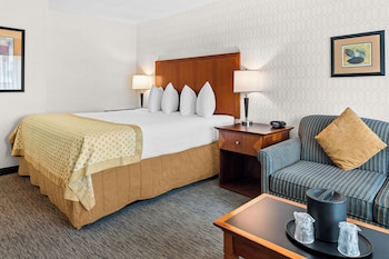 Standard Room, 1 King Bed, Non Smoking, Refrigerator & Microwave (No Pets in room type;with Sofabed)