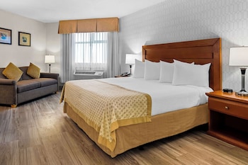 Standard Room, 1 King Bed, Accessible, Refrigerator & Microwave (No Pets in room type;with Sofabed)