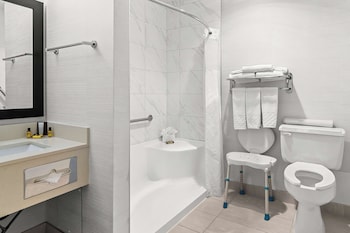 Standard Room, 1 King Bed, Accessible, Refrigerator & Microwave (No Pets in room type;with Sofabed)