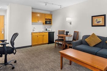 Suite, 1 King Bed, Non Smoking, Kitchenette (with Sofabed)