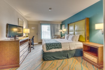 Standard Room, 1 King Bed, Smoking