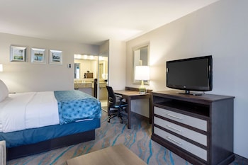 Room, Accessible, Smoking