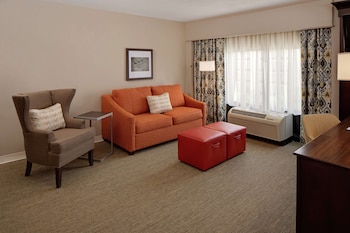 Suite, 1 King Bed, Non Smoking