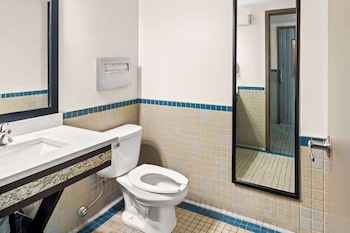 Standard Room, 1 King Bed, Accessible, Refrigerator & Microwave