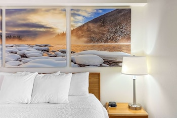 Room, 1 King Bed, Non Smoking