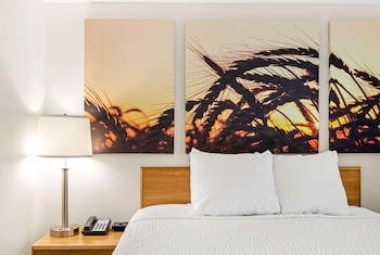 Room, 1 Queen Bed, Non Smoking