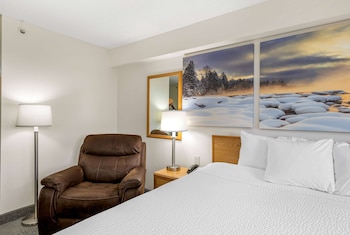 Room, 1 King Bed, Non Smoking