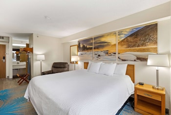 Room, 1 King Bed, Non Smoking