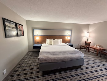 Room, 1 King Bed, Non Smoking