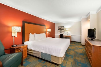 Room, 1 King Bed, Non Smoking