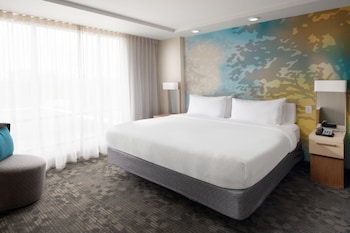 Room, 1 King Bed, Roll-in Shower