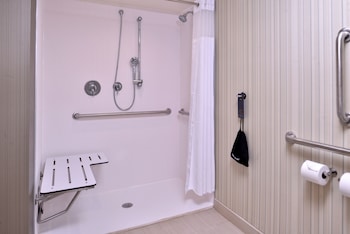 Room, 1 King Bed, Transfer Shower