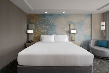 Studio, 1 King Bed with Sofa bed