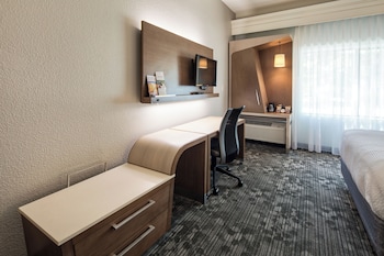 Room, 1 King Bed, Roll-in Shower