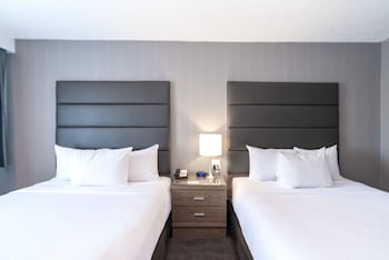 Room, 2 Queen Beds (Run of House, 2 Queen Beds)