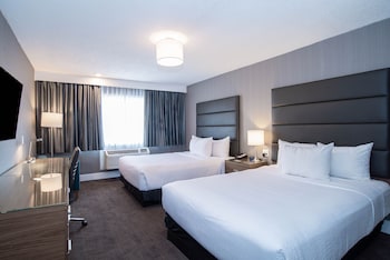 Room, 2 Queen Beds (Run of House, 2 Queen Beds)