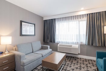 Standard Room, 1 King Bed with Sofa bed