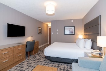 Standard Room, 1 King Bed with Sofa bed