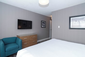Standard Suite, 1 King Bed with Sofa bed, Kitchenette