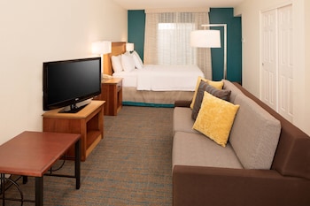 Studio, 1 Queen Bed with Sofa bed