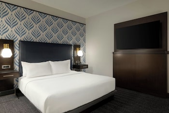 Room, 1 King Bed