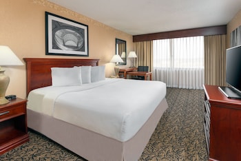 Executive Suite, 1 King Bed with Sofa bed