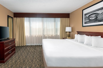 Executive Suite, 1 King Bed with Sofa bed