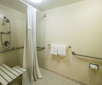 Superior Room, 1 King Bed, Accessible, Non Smoking (Roll-In Shower)