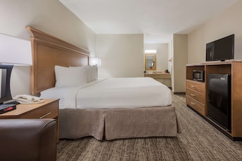 Standard Room, 1 King Bed, Accessible, Non Smoking