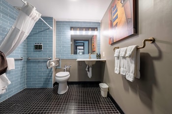 Room, 1 King Bed, Roll-in Shower, Non Smoking (Patio, Courtyard View)