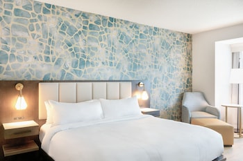Room, 1 King Bed