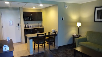 Suite, 1 King Bed with Sofa bed