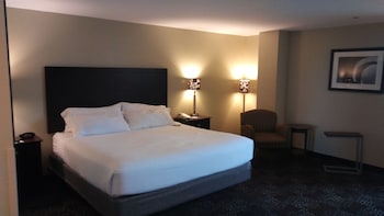 Standard Room, 1 King Bed, Accessible (Mobility Accessible)