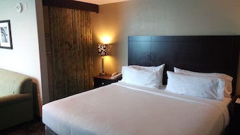 Standard Room, 1 King Bed with Sofa bed