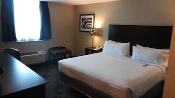Standard Room, 1 King Bed (Walk-In Shower)